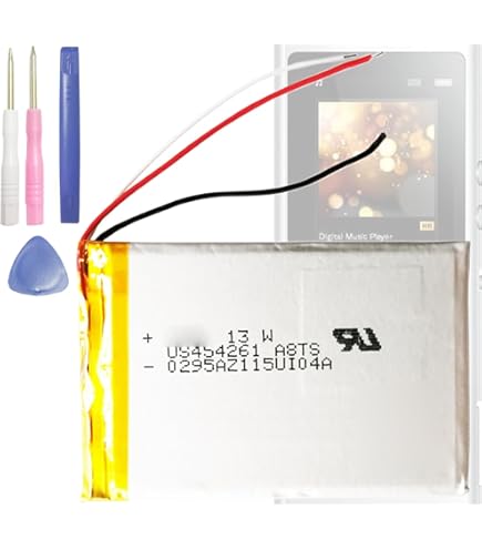Amazon | NW-ZX100 NW-ZX300 SONY ウォークマン（walkman） 適合互換